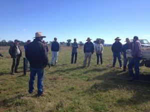 Cranbury/Cudal/Cargo grazing meeting