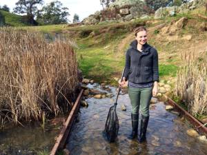 Creek research project