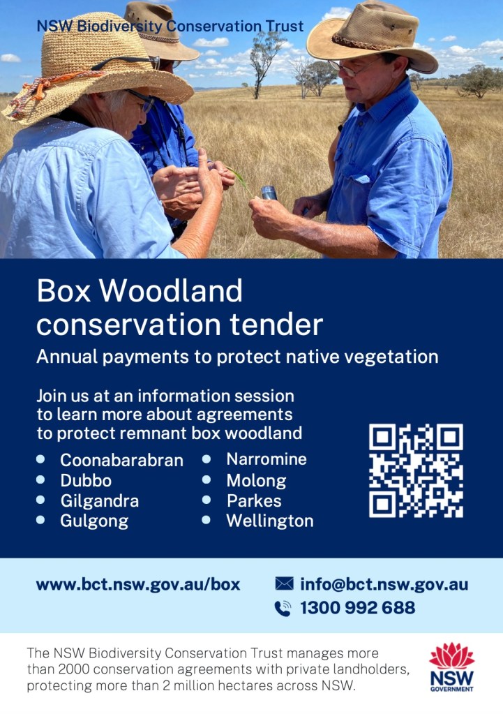Box Gum Grassy Woodland Conservation Tender with the Biodiversity Conservation Trust.  Cabonne area. 