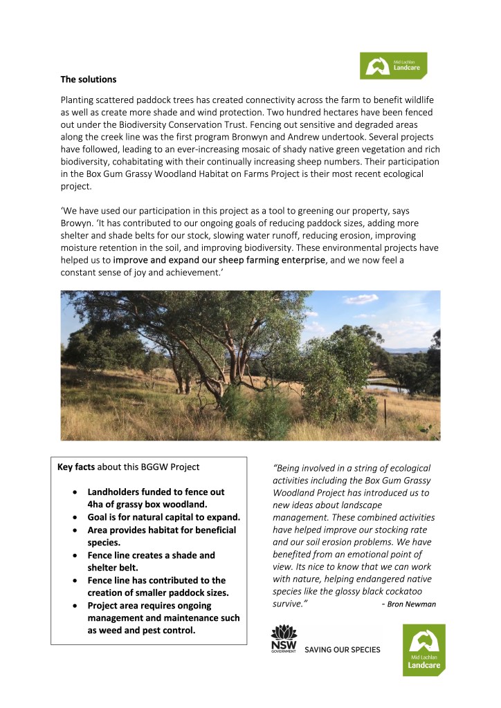 Case study - a box gum grassy woodland habitat on farm project. Increasing tree coverage & productivity.   