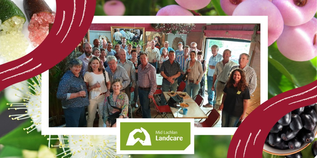Mid Lachlan Landcare's AGM and Christmas Get-Together is happening on Wednesday 27th November at the Age of Fishes Museum in Canowindra. 